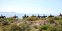 Baja Bandidos Horseback Trail Ensenada, Mexico