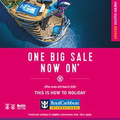 One Big Sale One Big Sale