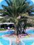 Athena Beach Hotel