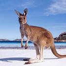 Oceania