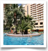 Palm Beach Offers
