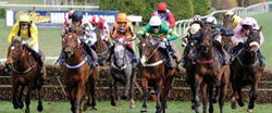 Cheltenham Gold Cup Cheltenham Gold Cup
