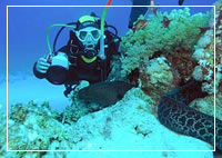Sharm El Sheikh