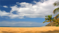 Canaries Holiday Deals