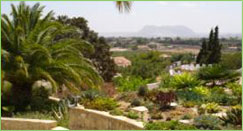 The beautiful gardens surrounding the luxury villas at La Datcha, Spain