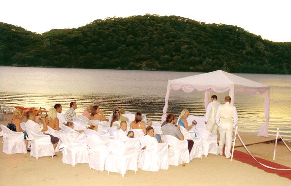 Wedding Photos