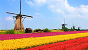 Kinderdijk
