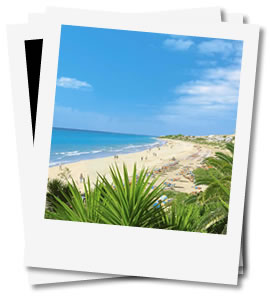 Canary Island Cruises