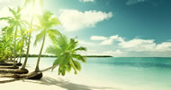 Miami Stay & Cruise