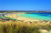 Click to find out more about Ayia Napa