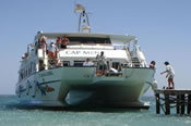 Glass bottom boat