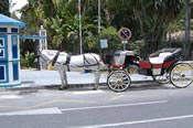 Click to find out more about holidays to Marbella