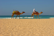 Holidays to the Red Sea