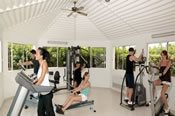 Work out in the gym