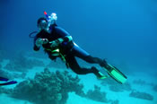 Learn to Scuba dive Learn to dive