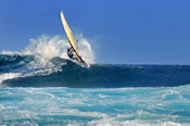 Click to find out more about Costa Calma