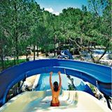 Champion Holiday Village