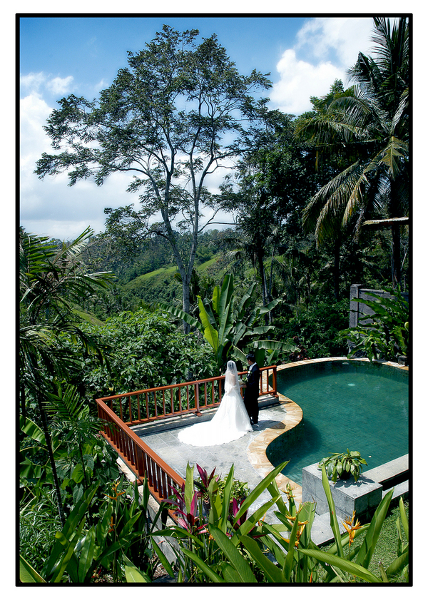 Brochure Image
