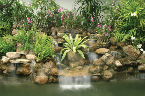 Brochure Image
