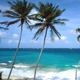 Dominican Republic Holiday Discount Codes
