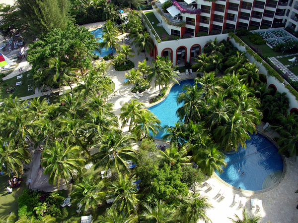 Brochure Image