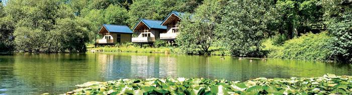 Deer Park Cabins