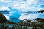 Alaska Cruises