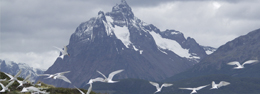 Ushuaia