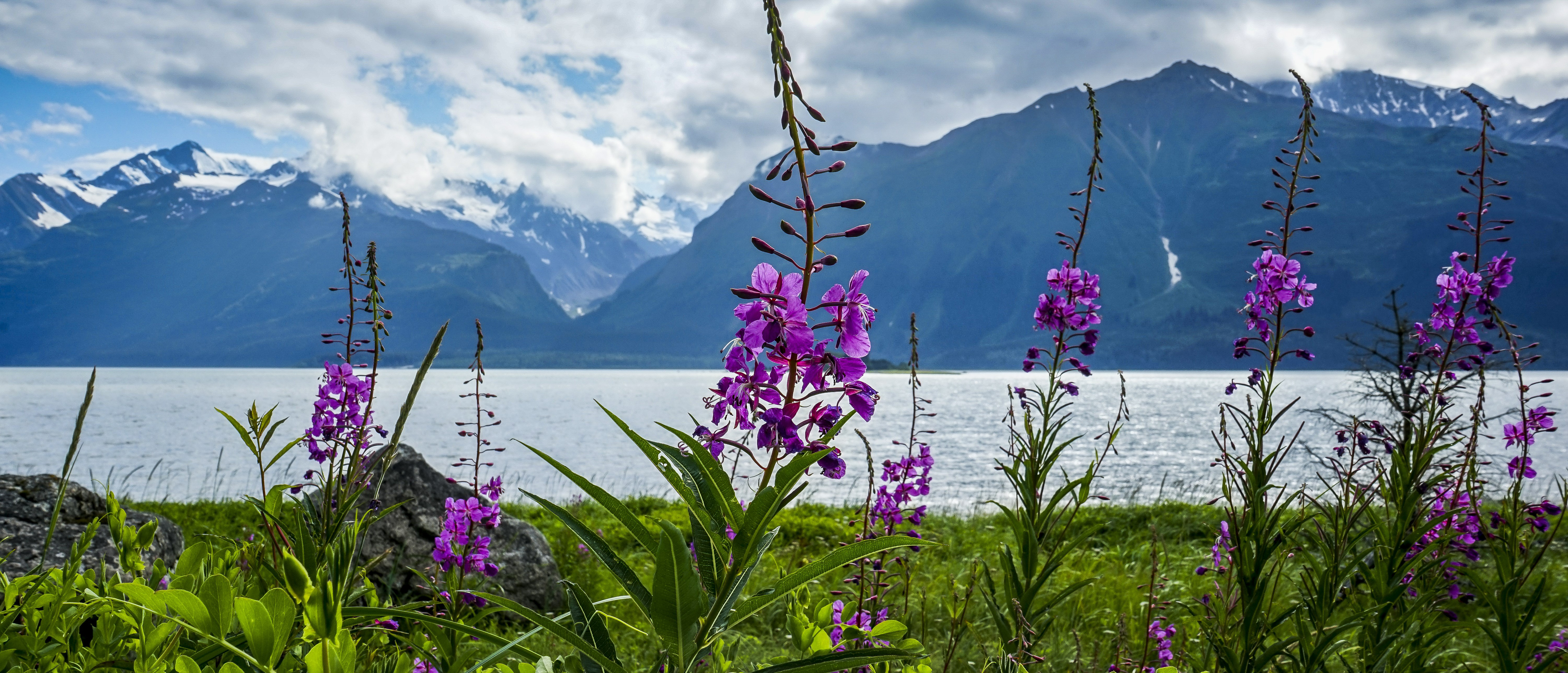 Alaska