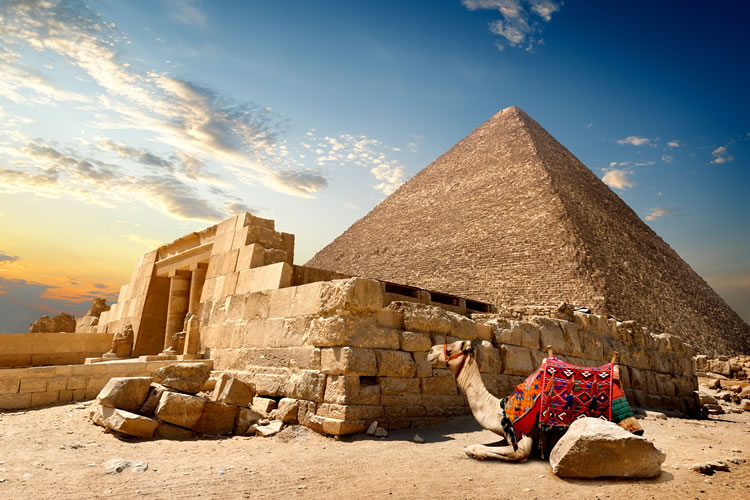 Egypt, Camel & pyramid